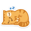 cat38    {cat38} {cat38}